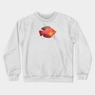 Dwarf Gourami Fish Crewneck Sweatshirt